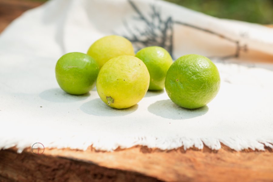 Lemon - Foodpaths in Auroville
